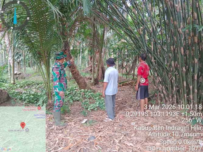 Babinsa Tanjung Siantar Laksanakan Patroli dan Sosialisasi Tapal Batas Wilayah