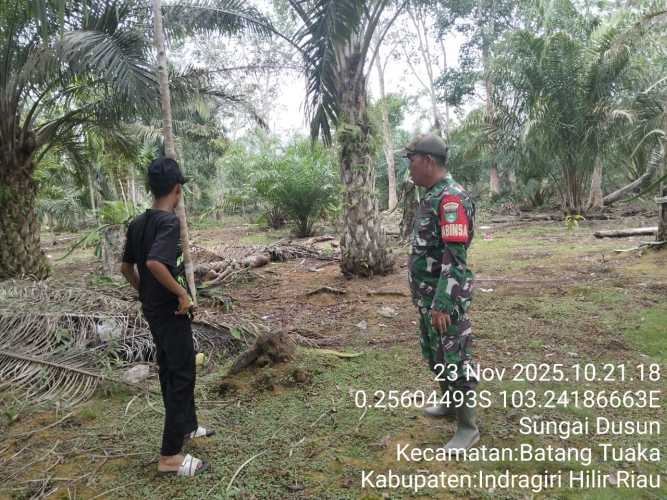 Babinsa Koramil 12/Batang Tuaka, Sertu Fero A. Duha, melaksanakan kegiatan patroli sekaligus sosialisasi pencegahan kebakaran hutan dan lahan