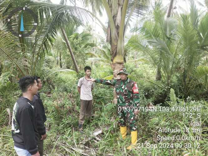 Babinsa Bente Lakukan Pengawasan Karhutlah Cegah Kerusakan Lingkungan