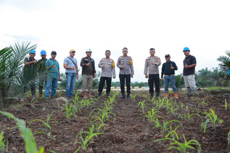 Kapolres Indragiri Hilir Tinjau Perkembangan Lahan Ketahanan Pangan di Kecamatan Batang Tuaka
