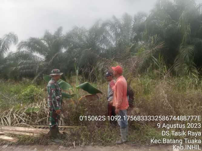 Koptu Sihabuddin Memperdalam Intensitas Karhutlah