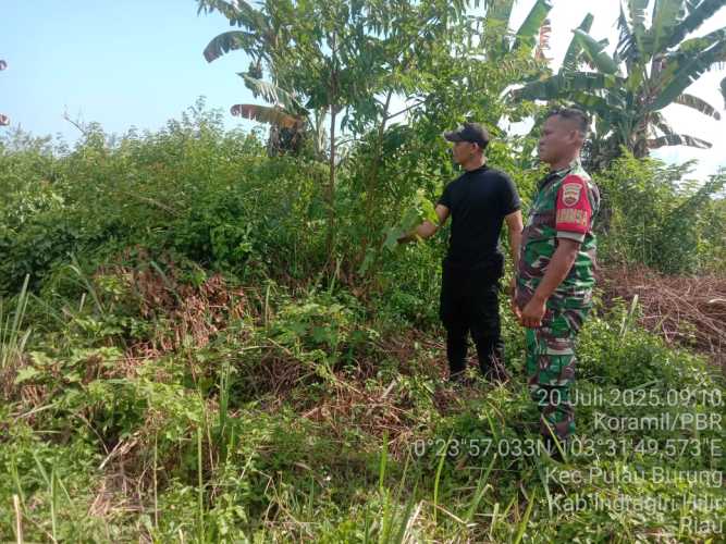 Babinsa Koramil 11/Pulau Burung  Pantau Wilayah untuk Antisipasi Karhutla
