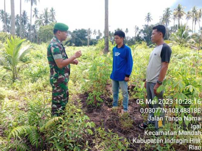 Babinsa Cegah   Karhutlah dengan Patroli