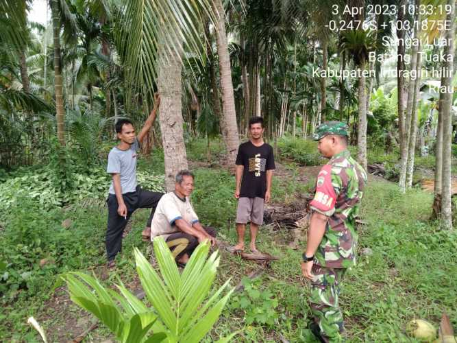 Serda Syafrijon Monitor  Kondisi Lahan Petani Setempat