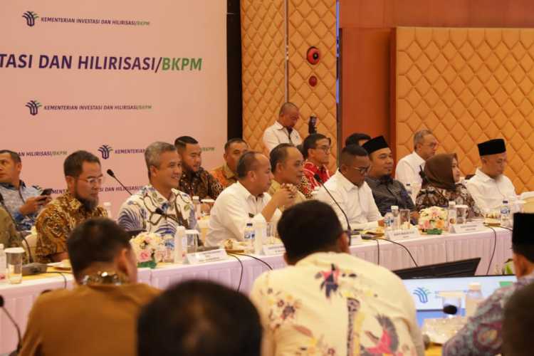 Bupati Inhil Paparkan Potensi Hilirisasi Kelapa di Hadapan Menteri Investasi RI