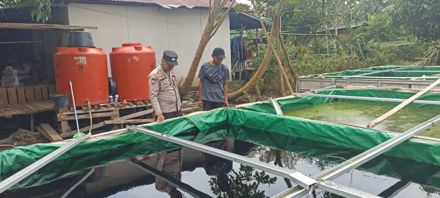 Polsek Pelangiran Pantau Progres Budidaya Lele dan Mujair di Desa Bagan Jaya