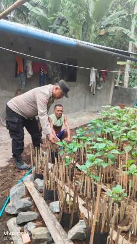 Pollsek Enok Hadirkan Wajah Humanis,Pendampingan Intensif untuk Ketahanan Pangan Tingkat Rumah Tangga