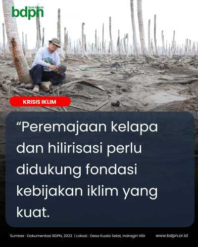 Peremajaan Kelapa dan Perlindungan Tanggul Menentukan Masa Depan Ekonomi Rakyat Inhil