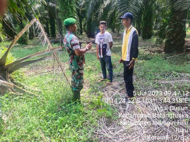 Serda Pernando Aktifkan Pengawasan Lahan di Daerah Rawan Karhutlah