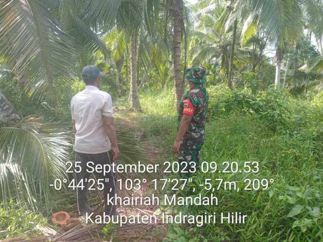 Babinsa Koramil 08/Mandah Kodim 0314/Inhil Melaksanakan Patroli Karhutlah Secara  Rutin