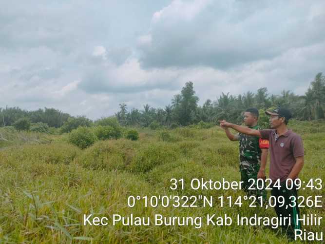 Babinsa Koramil 11/Pulau Burung Patroli Karhutlah Terfokus