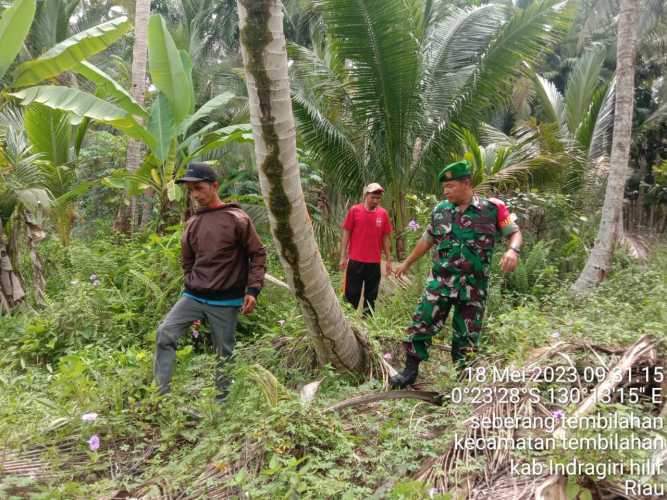 Tim patroli karlahut seberang tembilahan selatan dipimpin sertu M.yasin.