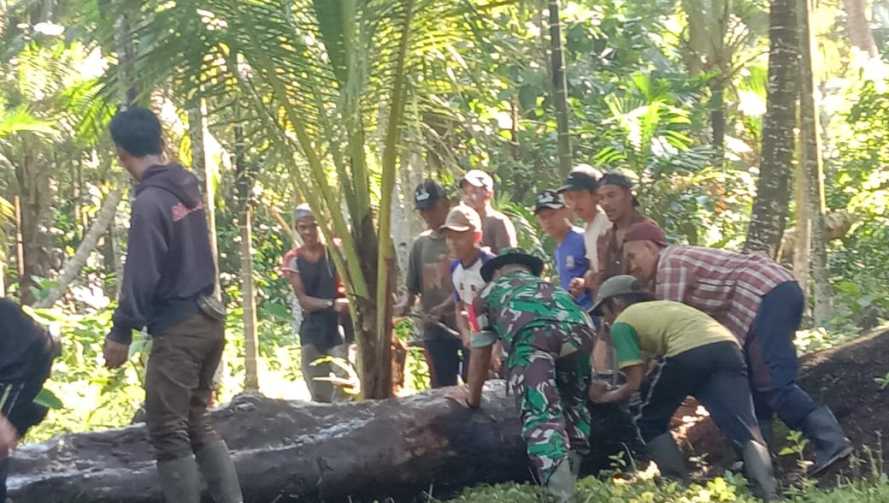 Dengan semangat Gotong Royong, Serda M.Yasin Ajak Warga Membersihkan Kayu Yang  Menghalangi Jalan Warga