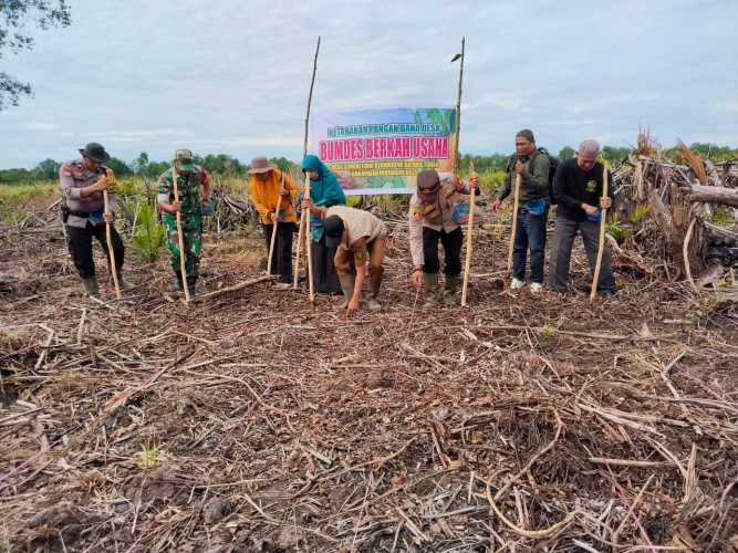 Babinsa Koramil 12/Batang Tuaka, Serda Syafrijon, turut hadir dan berperan aktif dalam kegiatan Program Ketahanan Pangan