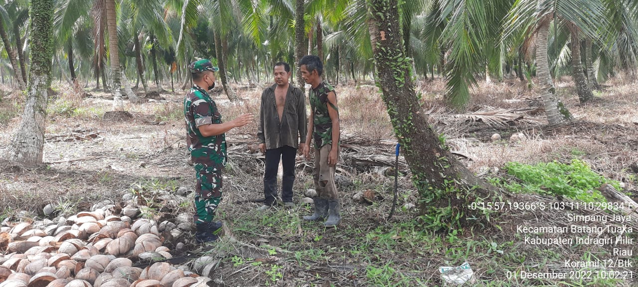 Babinsa Simpang Jaya  Patroli Karhutlah