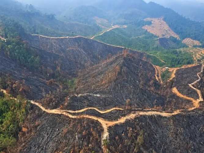 Satgas Udara Sisir Area Berkas Karhutla di Kampar