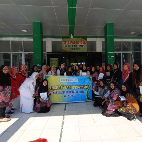 Galeri Dinkes Inhil Lakukan Pembinaan Kader Posyandu di UPT Puskesmas Sungai Raya