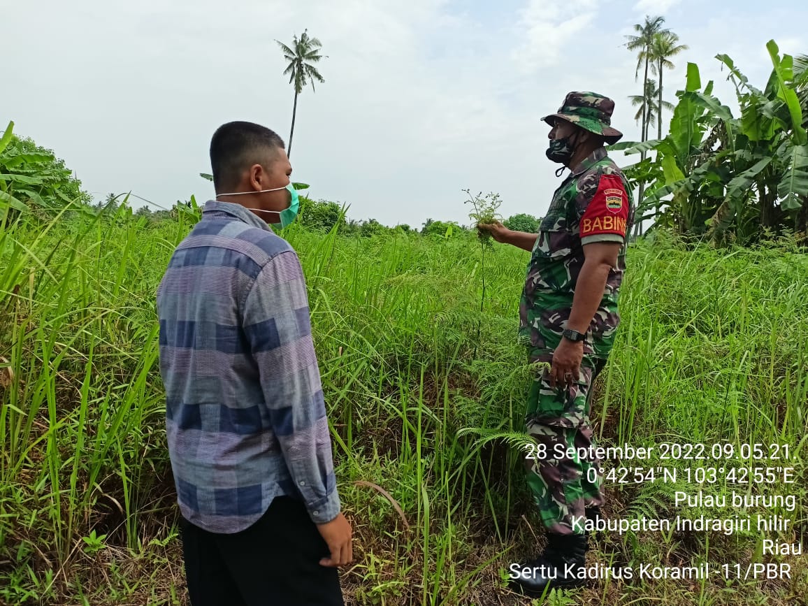 Sertu Kadirus Babinsa Koramil 11/Pulau Burung Memberikan Penyuluhan Karhutlah