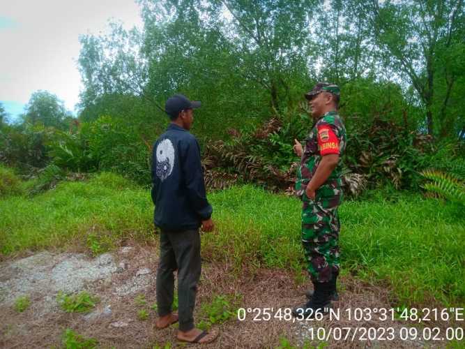 Babinsa Berikan  Sosialisasi Inovatif Membuka Lahan