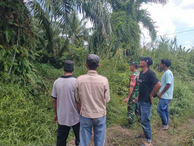 Babinsa Sialang Panjang Patroli Tapal Batas Desa, Perkuat Stabilitas dan Redam Gejolak Sosial Warga