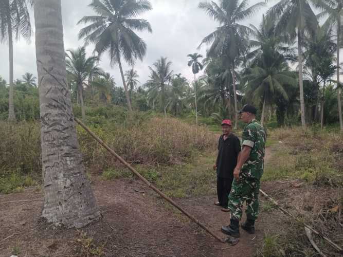 Babinsa Sungai Beringin Laksanakan Patroli Tapal Batas Pasca Lebaran