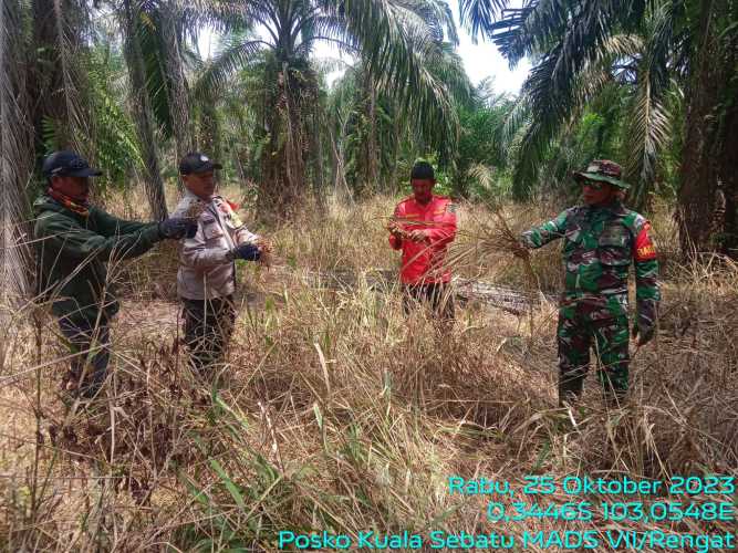 Koptu Sihabuddin Tangkal Karhutlah di Lahan Gambut Kering