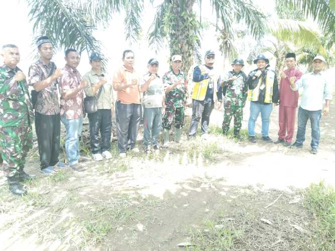 Bersama Kementan RI, Danramil 01/Tembilahan Verifikasi Lahan OPLA