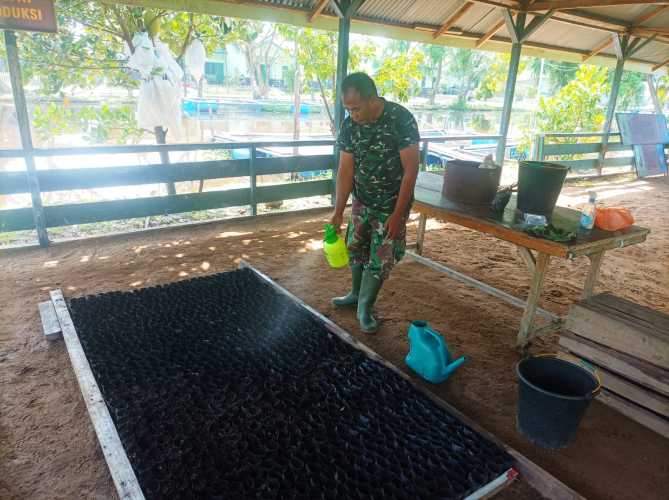 Sertu Syafriadi Koto Genjot Percepatan Program Ketahanan Pangan Tanam Labu