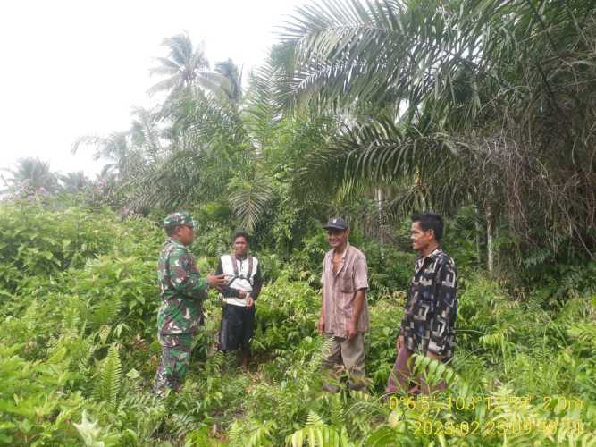 Babinsa Ambil Langkah Patroli  Karhutlah