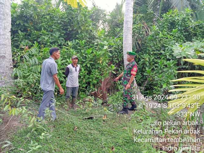 Serka Surung Simbolon  Patroli Karhutlah Secara Rutin