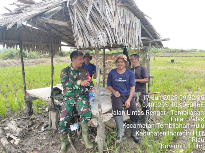 Babinsa Desa Sungai Intan Dukung Ketahanan Pangan Melalui Komsos