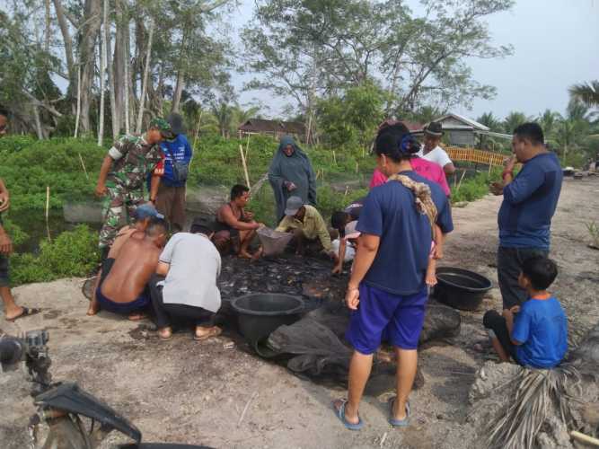 Wujudkan Ketahanan Pangan di Wilayahnya, Babinsa Lakukan Panen Lele Bersama