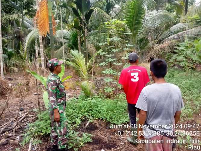 Babinsa Ringin Jaya Cegah Karhutlah Untuk Kelestarian Lingkungan