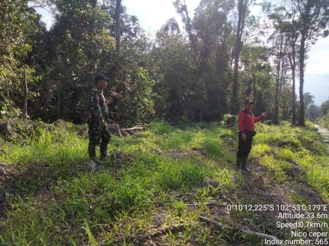 Babinsa Tembilahan Hulu memantau kondisi lahan kebun milik warga dan mencegah terjadinya kebakaran hutan