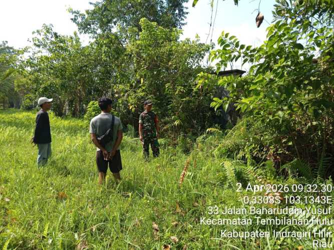 Bersama Rakyat, Babinsa Serda Ronald Manalu Perketat Patroli Karhutla di Lahan Gambut
