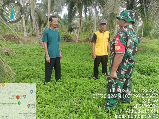 Babinsa Meminta Warga Perhatikan Lahan Kebunnya