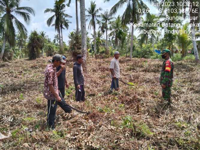 Babinsa Lakukan Minggu Patroli Lahan Warga