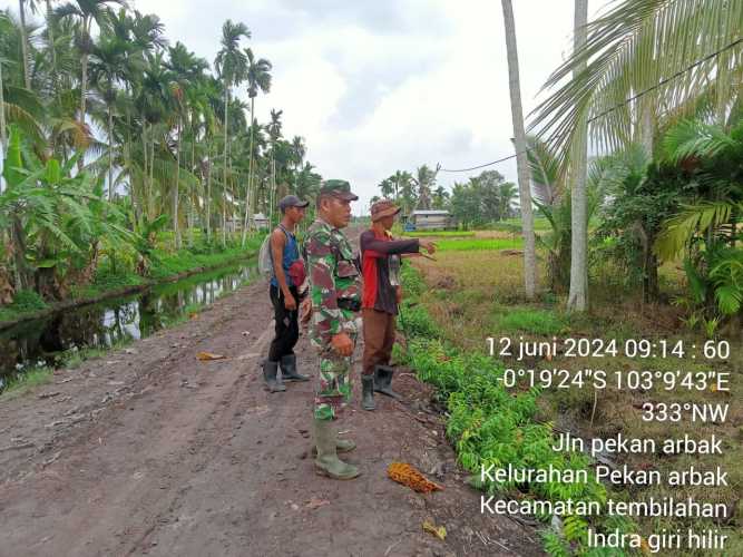 Babinsa Pekanarba Lakukan Kunjungan Ke Petani Musiman