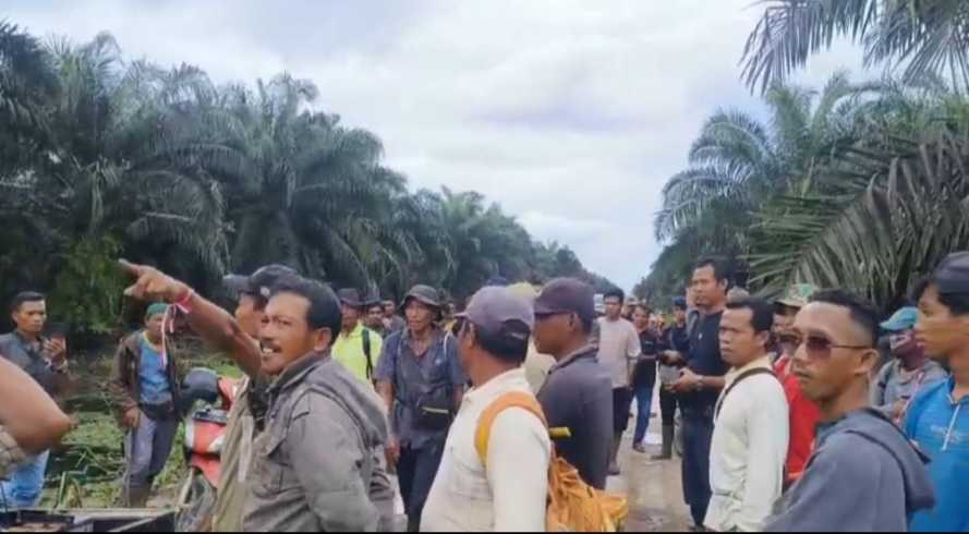Ratusan Warga Desa Sungai Raya Usir Pekerja PT SBP, Diduga Lahan Dirampas Secara Paksa