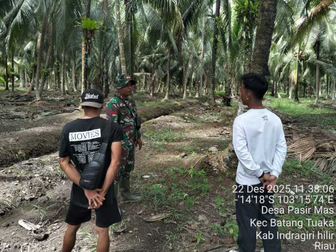 Babinsa Koramil 12/Batang Tuaka Perkuat Pengamanan Tapal Batas Desa Pasir Mas