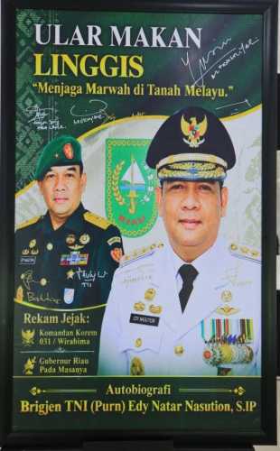 “Ular Makan Linggis”, Kisah di Balik Prinsip Teguh Edy Natar Nasution