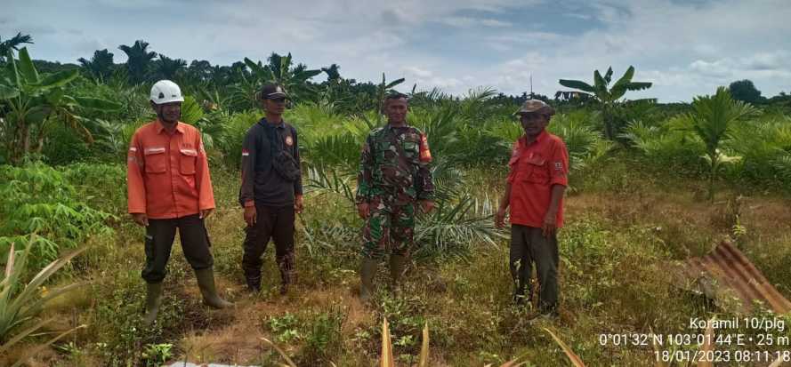 Babinsa Koramil 10/Pelangiran Kontrol Lahan Pertanian Masyarakat