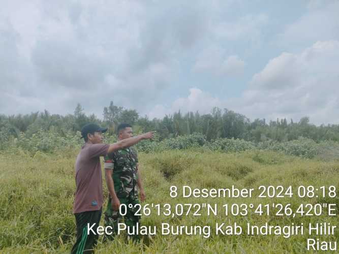 Babinsa Bangun Harjo  Patroli Pengendalian Karhutlah Dengan  Antisipasi Dini