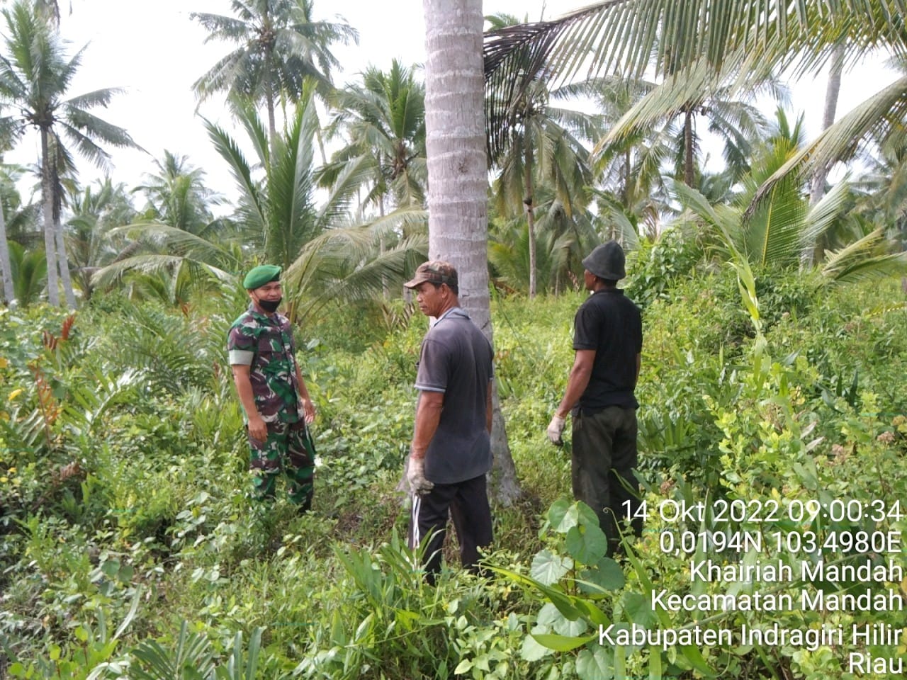 Serda Tomi Firman Babinsa Koramil 08/Mandah Patroli Karhutlah Secara Random