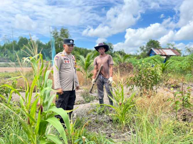 Babinkamtibmas Polsek Concong Laksanakan Pendampingan Program ketahanan Pangan di Sungai Berapit