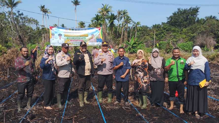 Kapolsek Dampingi Camat Gaung Dalam  Penanaman Jagung Dukung Ketahanan Pangan Nasional