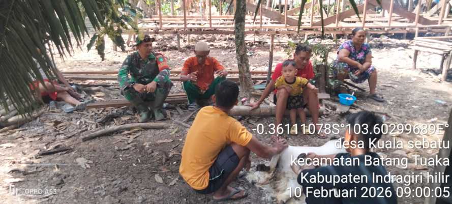 Api Kecil, Bencana Besar—Babinsa Kuala Sebatu Mengunci Musim Kemarau dari Karhutla