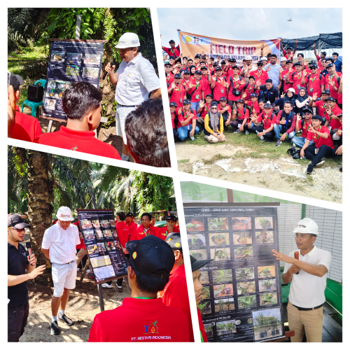 PT Ivomas Tunggal Sei Rokan Estate Sambut Peserta Fieldtrip Pengembangan SDMP 2026, Tampilkan Inovasi Budidaya Sawit Modern