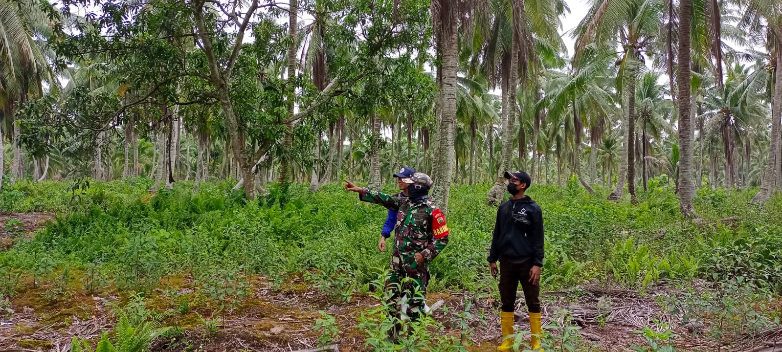 Serda Arlansyah  Kejar Tayang  Pencegahan Karhutlah