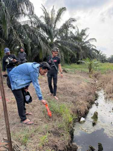Kasus Dugaan Pembunuhan di Kebun Sawit Desa Pancur, Satu Orang Ditemukan Tewas
